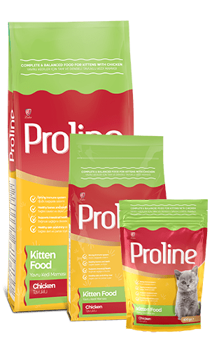 Proline Kitten Food 400Grams