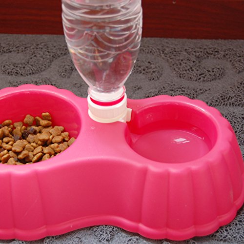 Pumpkin Double Bowl Water Dispenser Non-Slip