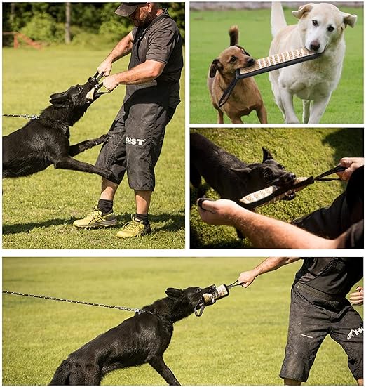 Puppy/Dog Tug for Strong Teeth and Training