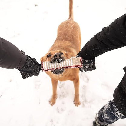 Puppy/Dog Tug for Strong Teeth and Training