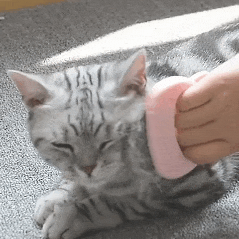 Purrfect Cat & Dog Comb