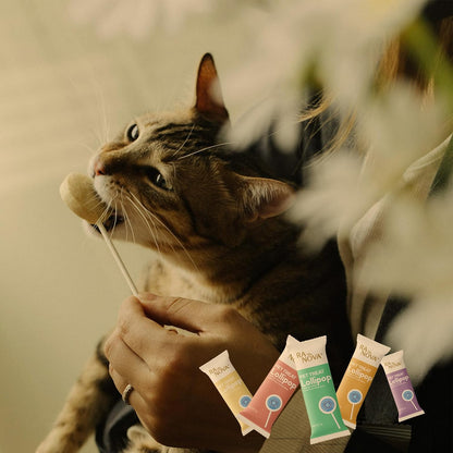 Ranova Freeze Dried Cat Lollipops