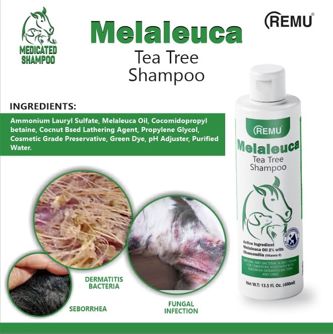 Melaleuca Medicated Tea Tree Pet Shampoo