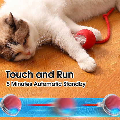 Rolling Smart Electric Pet Ball for Cats and Dogs