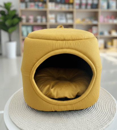 Round Elegant House in a Bed