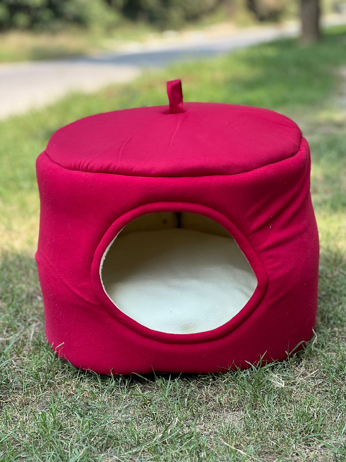 Round Elegant House in a Bed