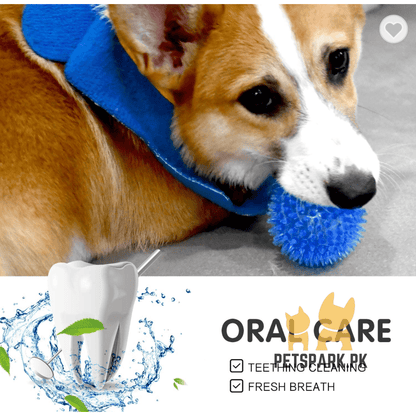 Round Spikes Toy Ball with LED for Puppies and Dogs
