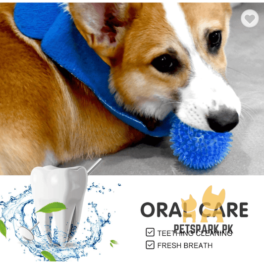 Round Spikes Toy Ball with LED for Puppies and Dogs