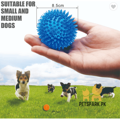 Round Spikes Toy Ball with LED for Puppies and Dogs