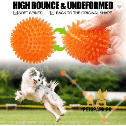 Round Spikes Toy Ball with LED for Puppies and Dogs