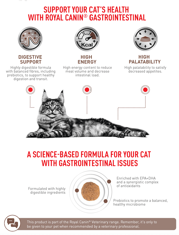 Royal Canin Gastro Adult Cat 2Kg