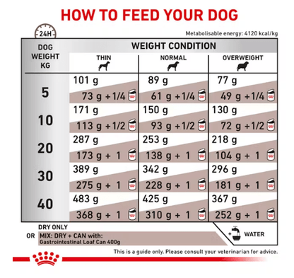 Royal Canin Gastrointestinal Adult for Dogs – 2 KG