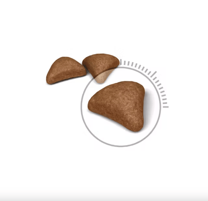 Royal Canin Hairball Care