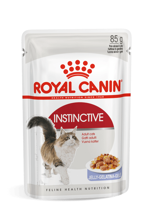 Royal Canin Jelly Cat Adult * 1