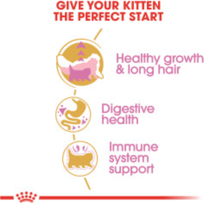 Royal Canin Persian Kitten