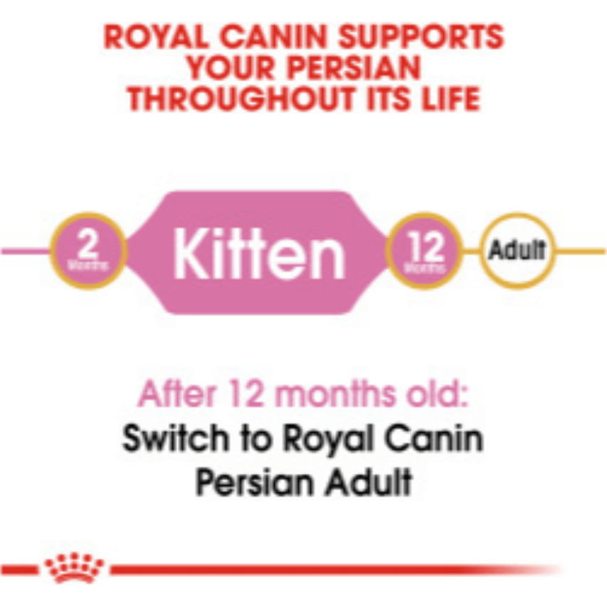 Royal Canin Persian Kitten
