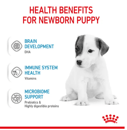 Royal Canin Puppy Milk Replacer