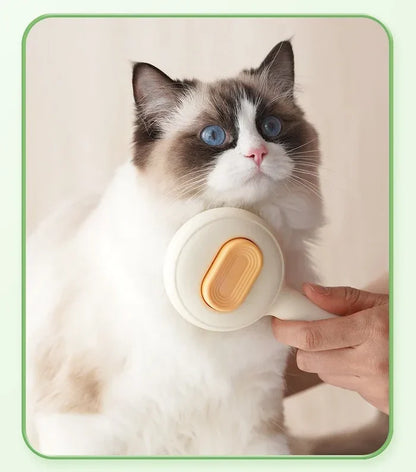 Easy Handle Self-Cleaning Hair Brush