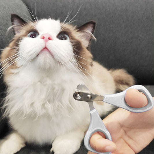 Safe Nail Cutter for Kittens and Cats