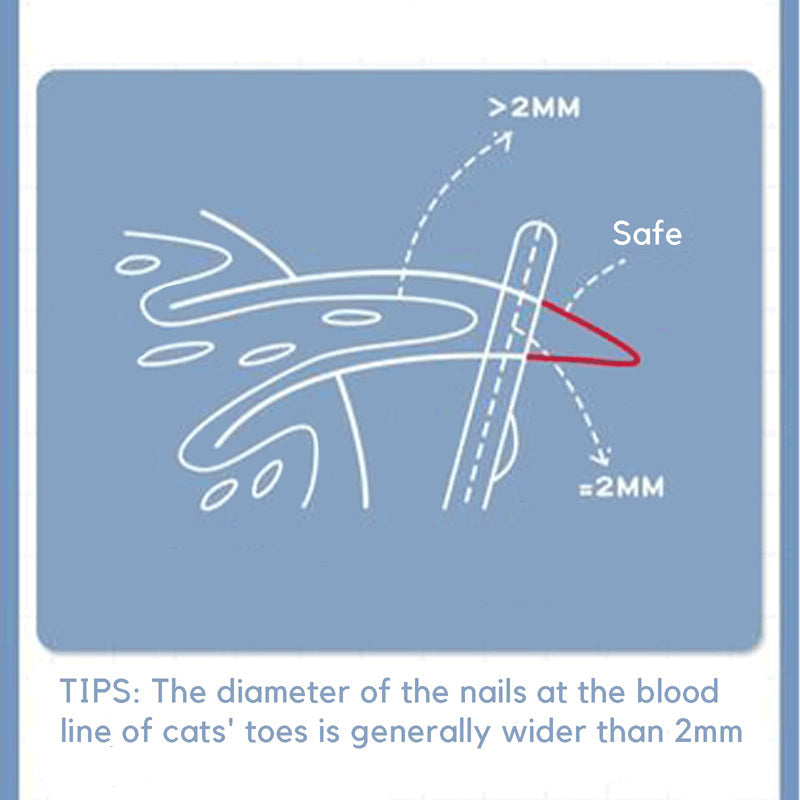 Safe Nail Cutter for Kittens and Cats