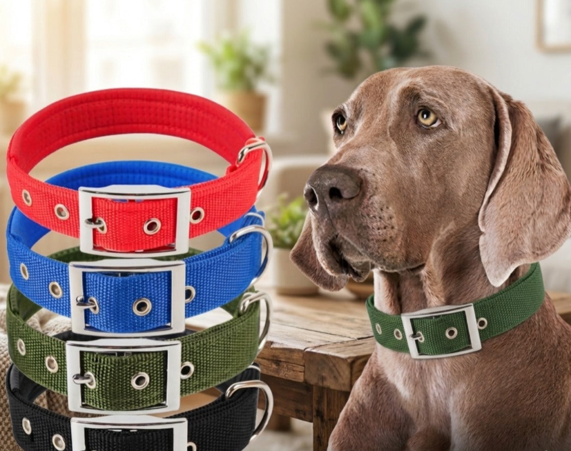 Durable Imported Nylon Dog Collar For Puppies & Dogs