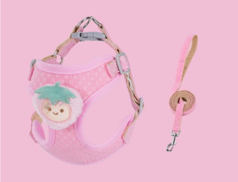 Cute Fruit Charm Harness & Leash for Cats & Puppies Medium