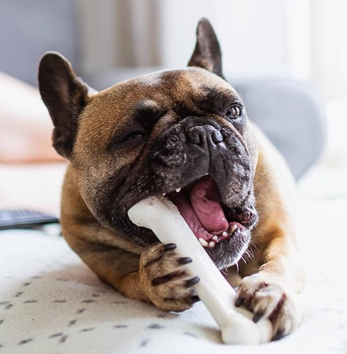 Nunbell Dog Chewing Bone Toy