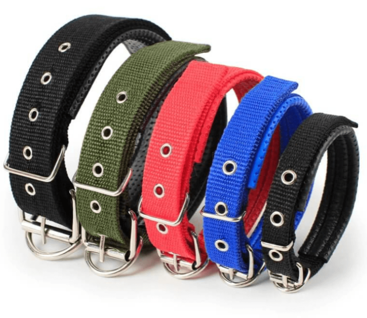 Durable Imported Nylon Dog Collar For Puppies & Dogs