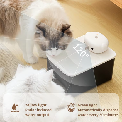 BirdieFlow Pet Water Fountain