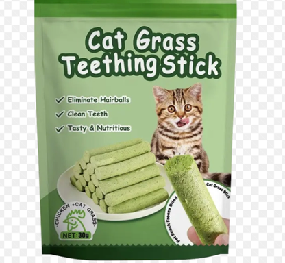 Cat Grass Teething Sticks for Hairballs  & Constipation (6 Sticks Pack)