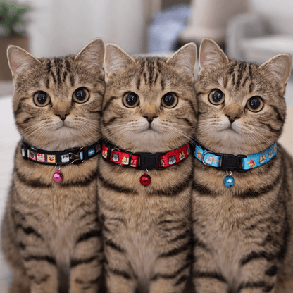 Silky Super Soft Cat Collar for Kitten and Cats (Assorted Colors)
