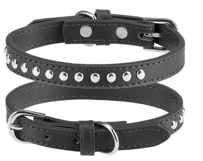 Single Studded Leather Dog Collar With Buckle