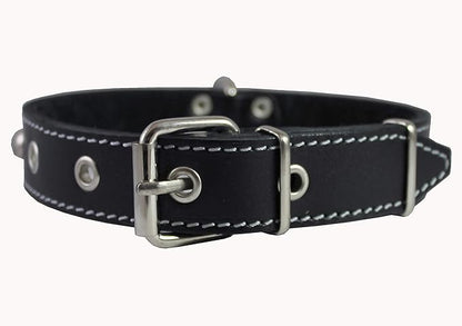 Single Studded Leather Dog Collar With Buckle