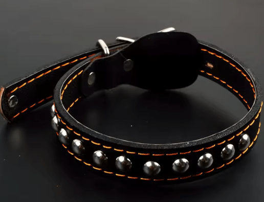 Single Studded Leather Dog Collar With Buckle