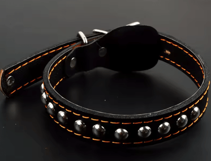 Single Studded Leather Dog Collar With Buckle