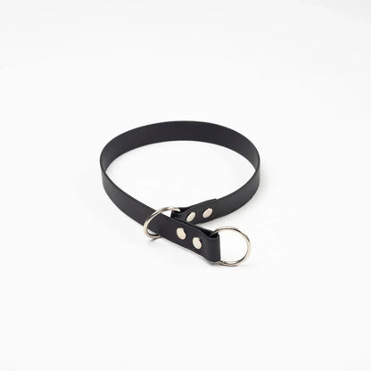 Slip Dog Training Collar (Double Ring)
