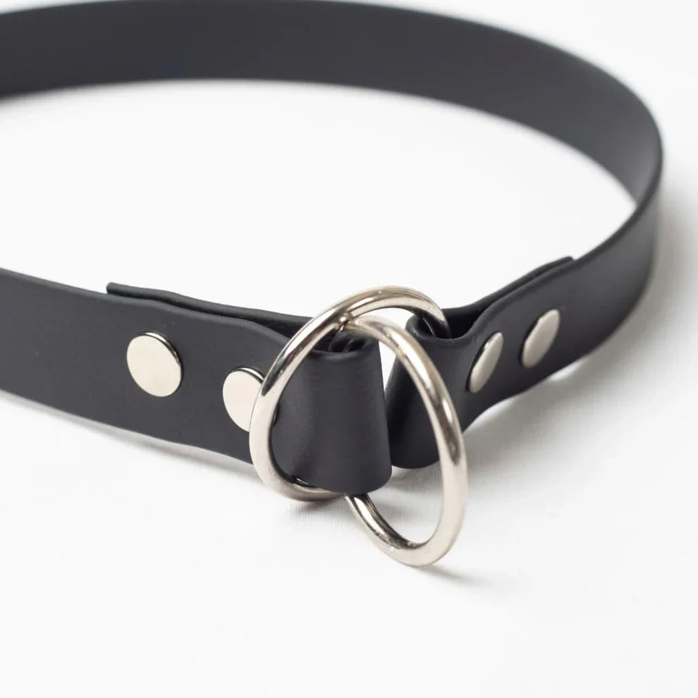 Slip Dog Training Collar (Double Ring)