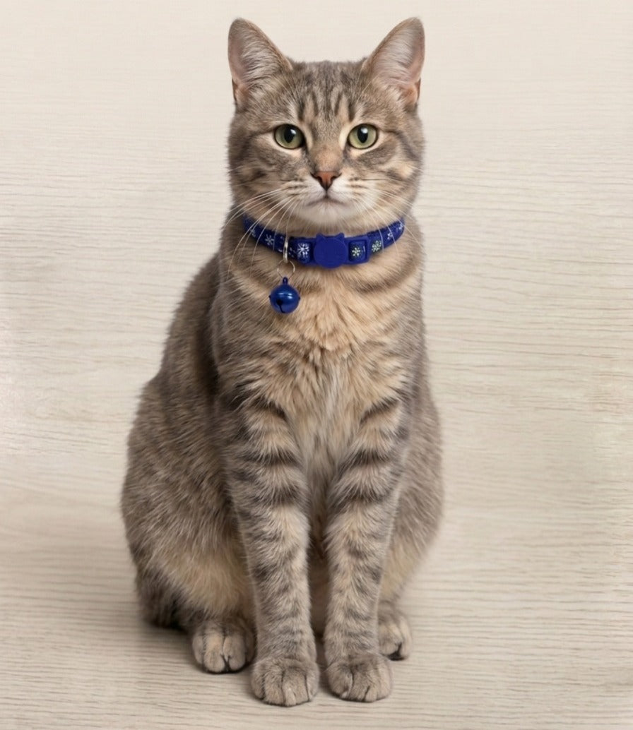 SnowFall Print Design Cat Collar With Bell