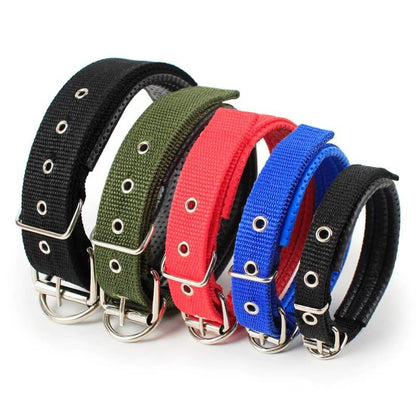 Soft Nylon Dog Collar For Puppies & Dogs