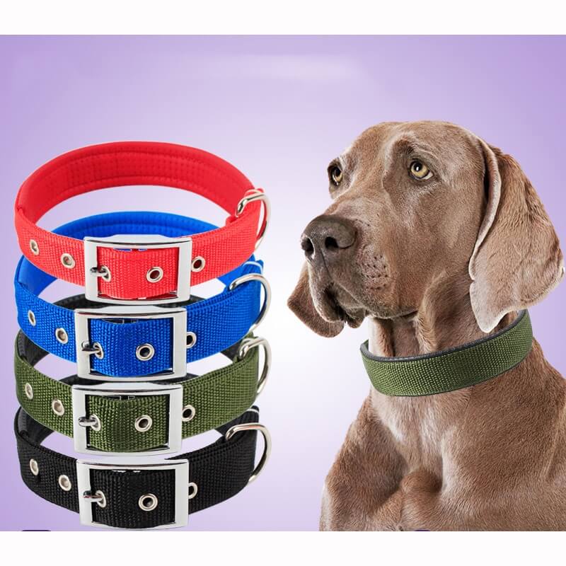 Soft Nylon Dog Collar For Puppies & Dogs