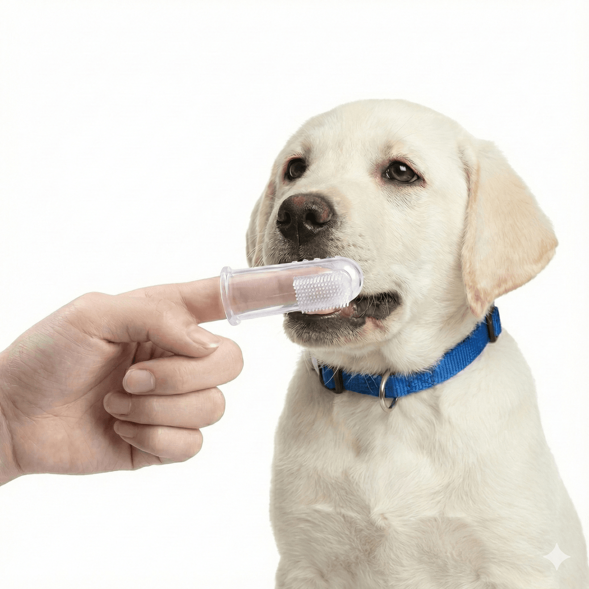 Soft Silicone Finger Toothbrush for Cats & Dogs