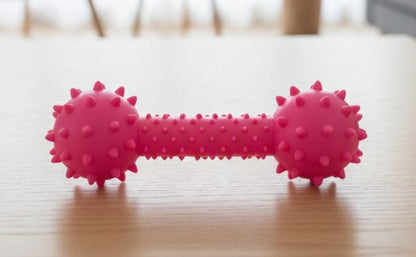 Spike Dumbell for Puppies And Dogs