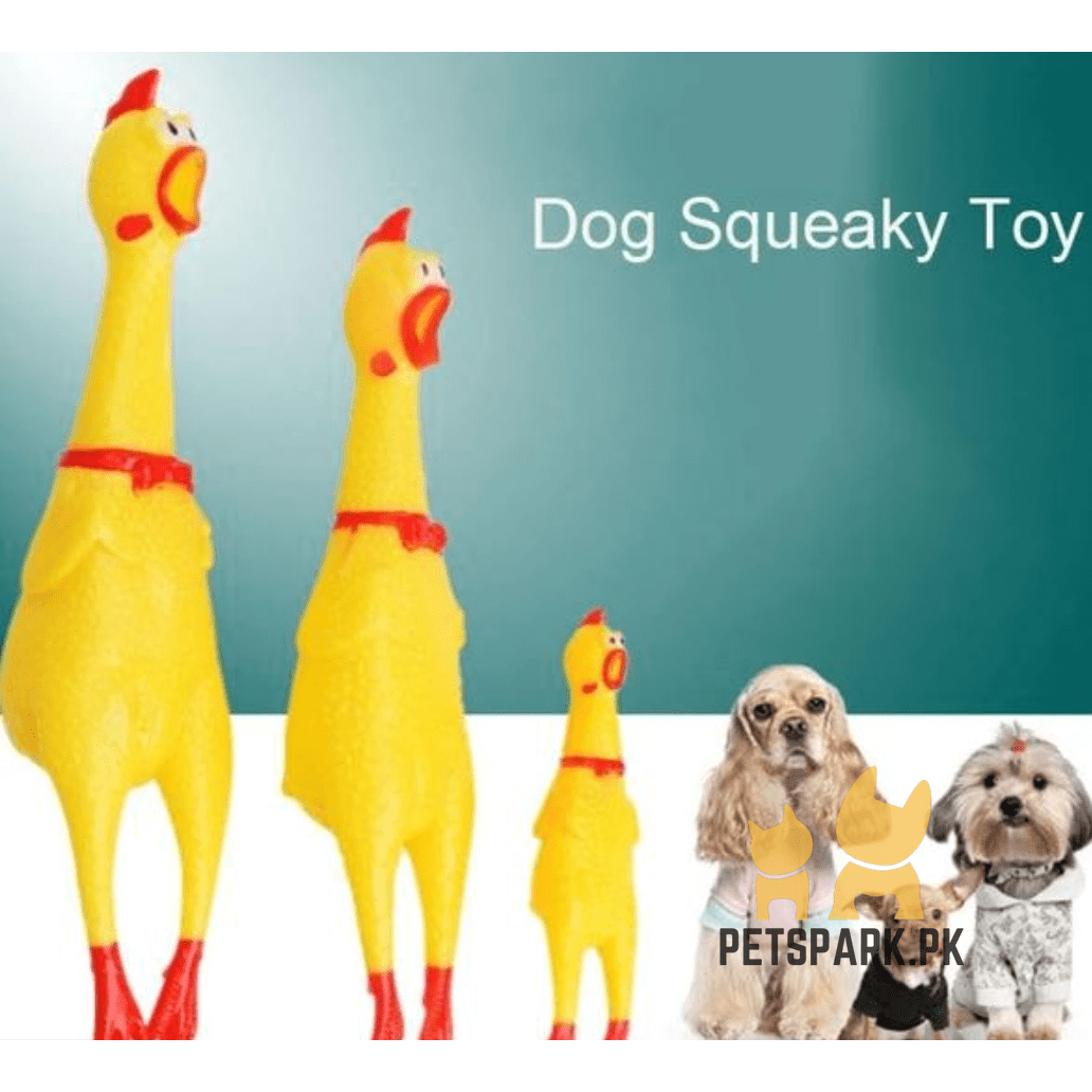 Squeaking Hen Toys for Dogs & Cats