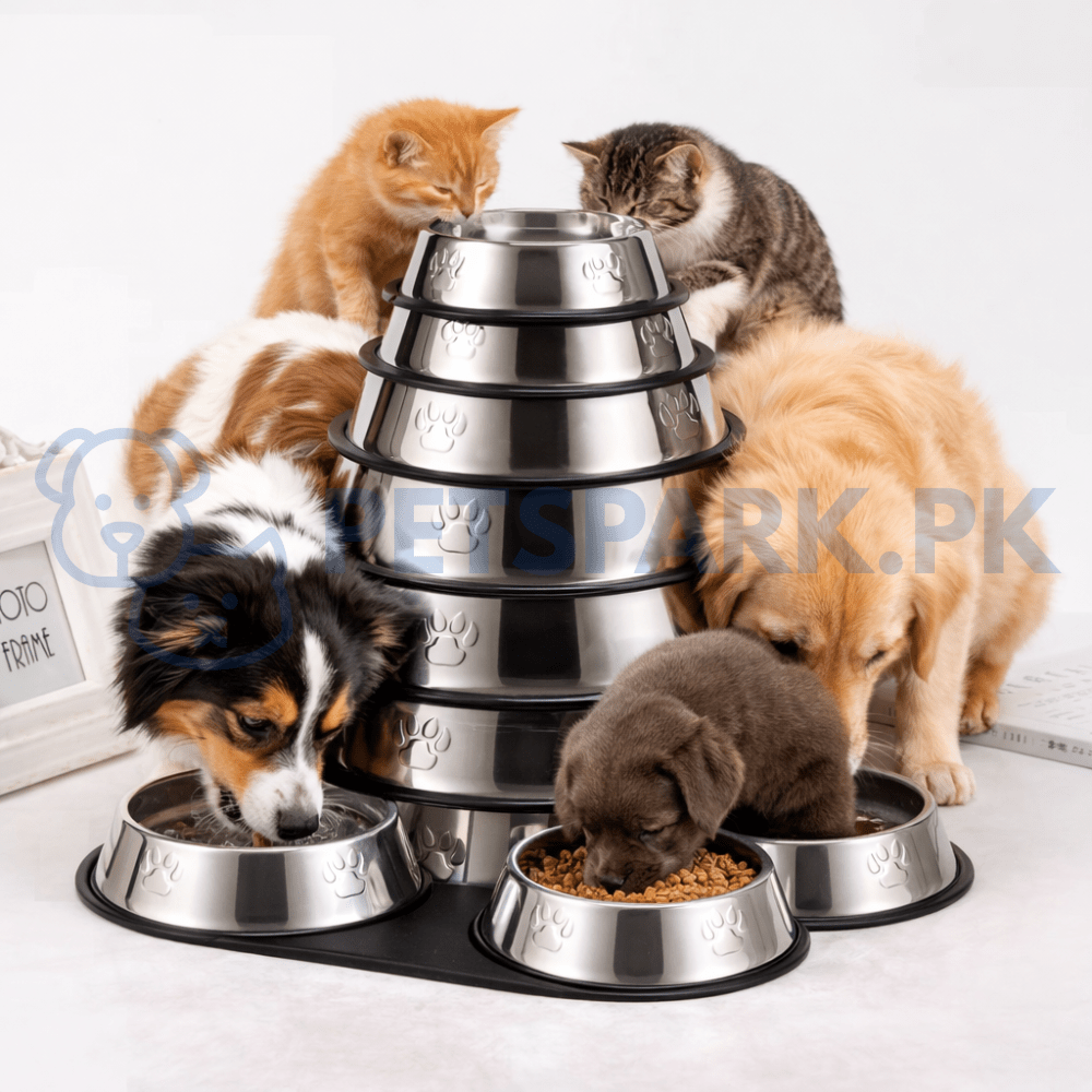Stainless Steel Bowl for Cats and Dogs
