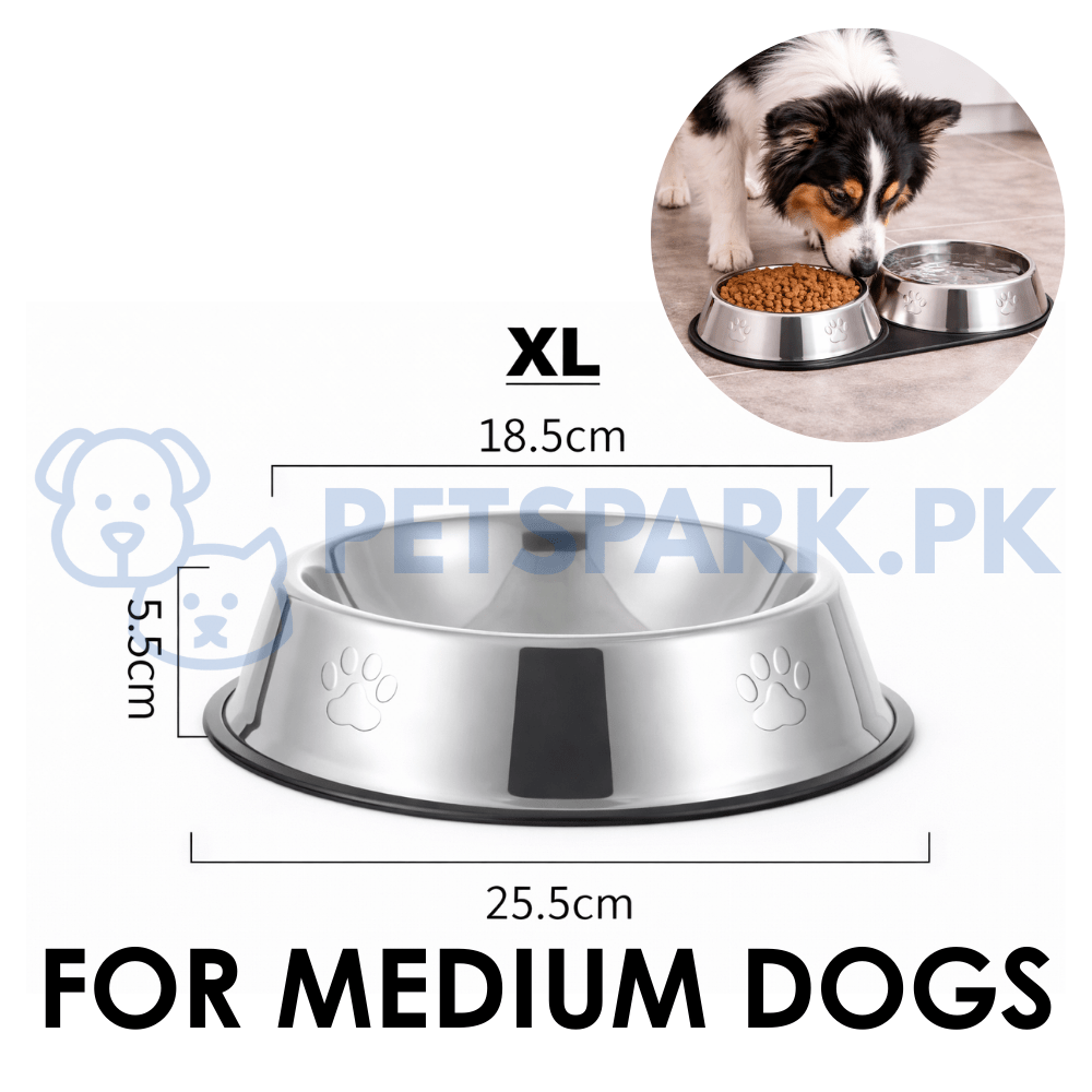 Stainless Steel Bowl for Cats and Dogs