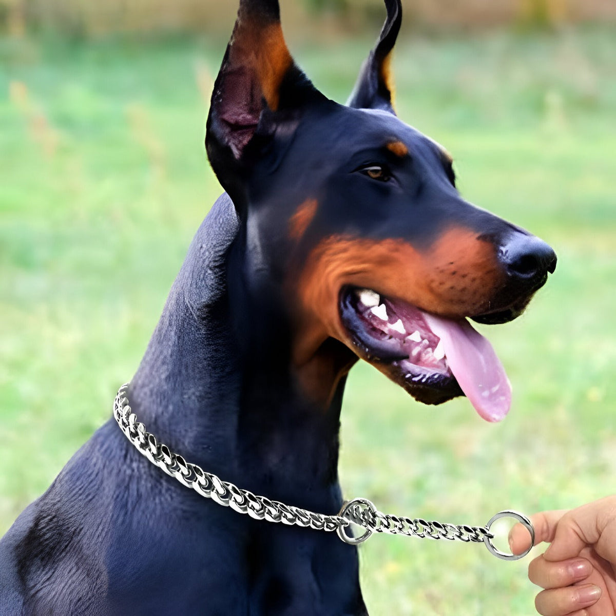 Stainless Steel Choke Chain for Dogs Best Quality