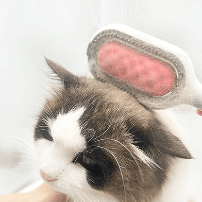 Sticky Brush for Cats & Dogs Hairs Kit