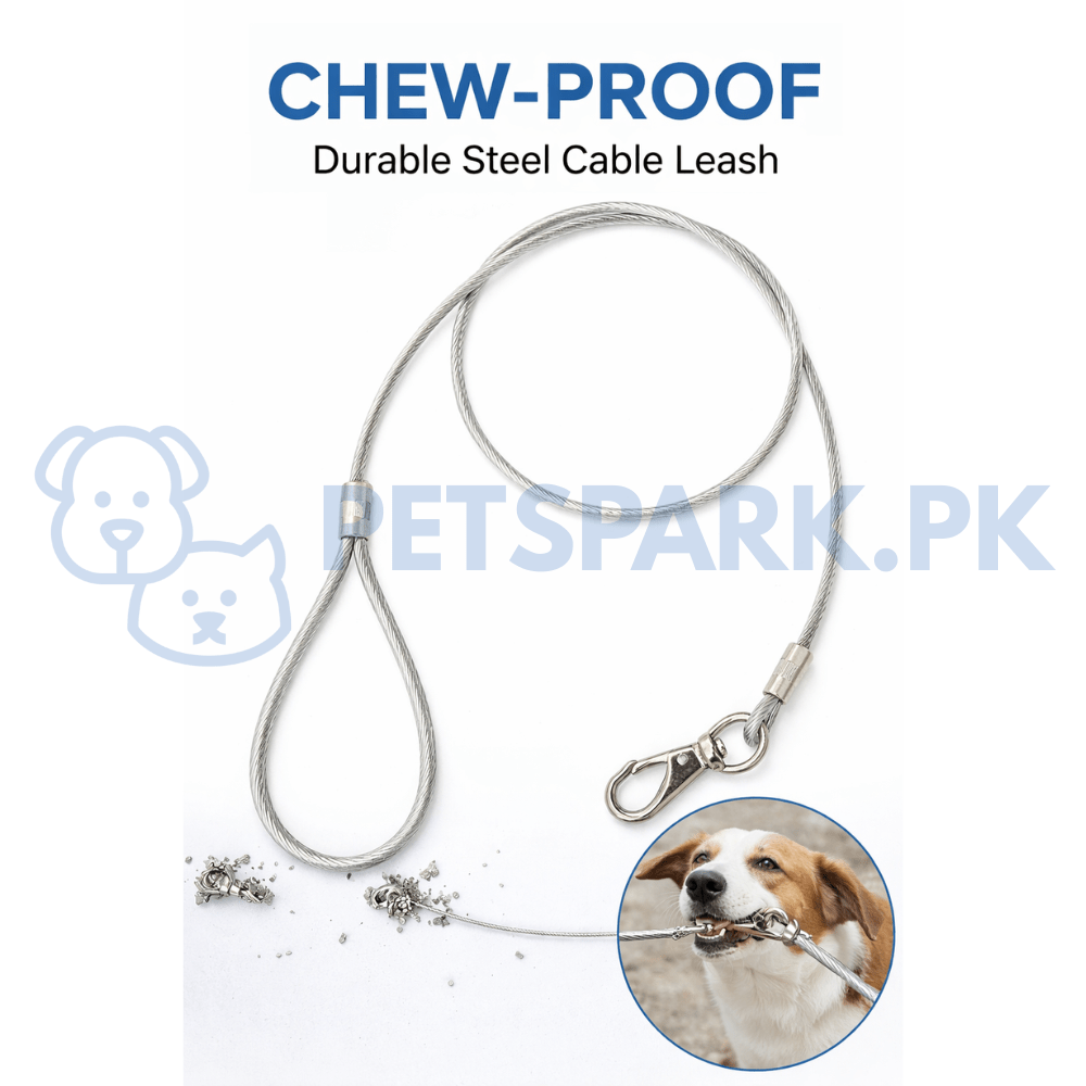 Strong Wireleash with Handle For Dogs