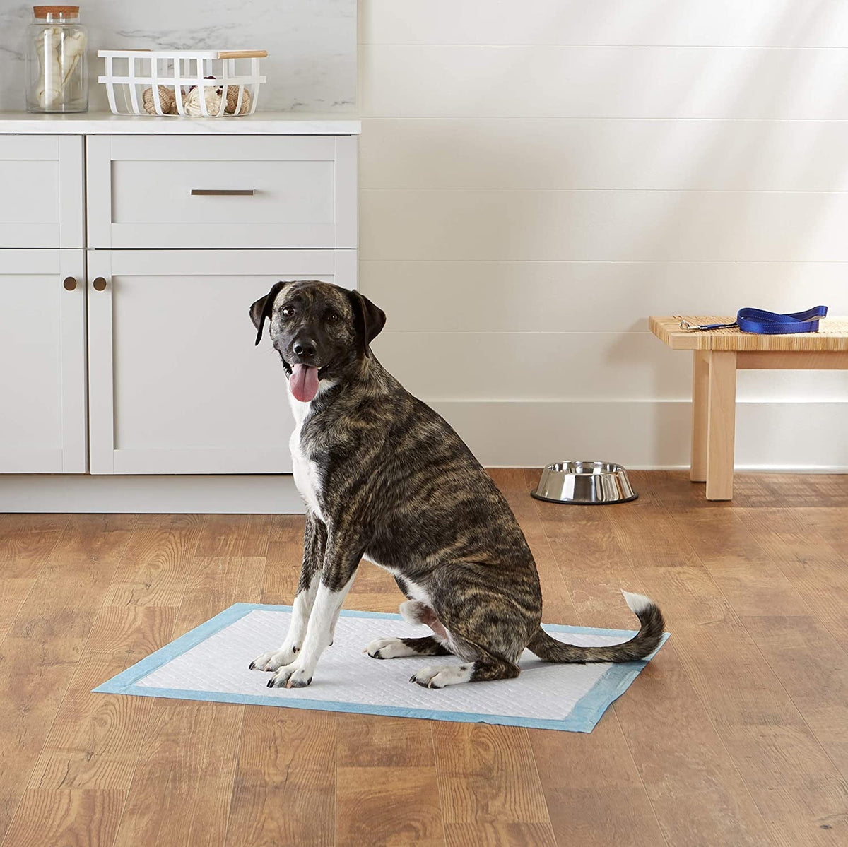 Super Absorbent Leak-Resistant Puppy/Kitten/Dog Training Pee Pads (Extra Large 60*90CM)