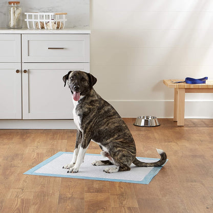 Super Absorbent Leak-Resistant Puppy/Kitten/Dog Training Pee Pads (Extra Large 60*90CM)